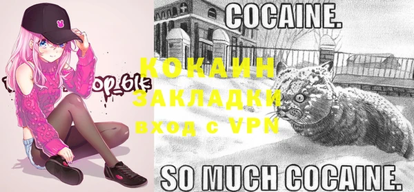 spice Володарск