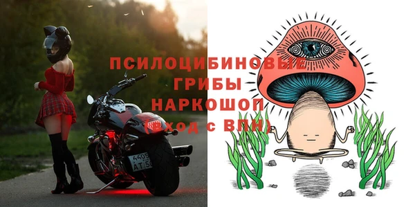 spice Володарск